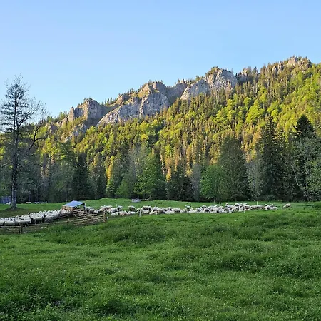 Gosciniec Kuznice-2